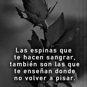 Meet your Posher, Miguel